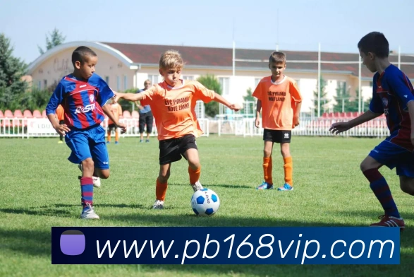 平博娱乐平台生态图